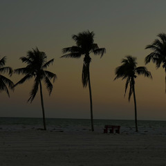 Summer night