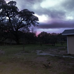 Love Me ft. Twizic (prod. Ambientarchive)