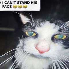 Old_House_Idea_Chapter_18