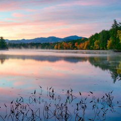 Playful Tapestry of Organic House Music from 90bpb through 126bpm