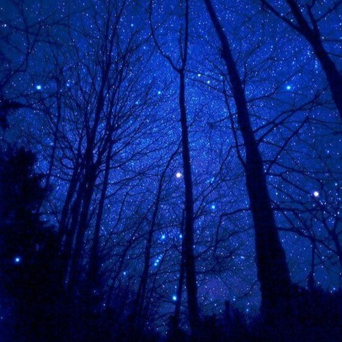 HUSSVRX - UNDER THE STARS