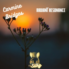 Carmine Bridges - Radiant Resonance (Mr Silky's LoFi Beats)