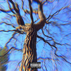 Options (prod. peppi)