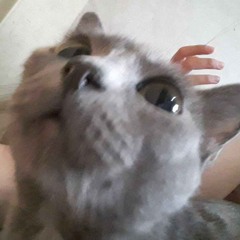 VERY_LONG_NIGHT_PARTY.flac