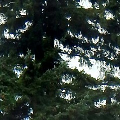 Lukas Graham - Happy Home (slowed + reverb)