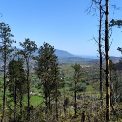 The Civil War - Poison and Wine