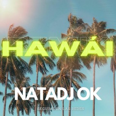 HAWAI REMIX - MALUMA ✘ NATADJ OK [2020]