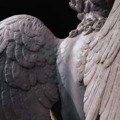 Say When (Live Acoustic Version) - The Fray