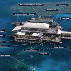 Best Outer Reef Pontoon Experience From Cairns Tours Review