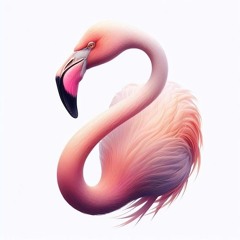 Slowboy - Flamingo