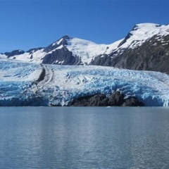 Best Portage Glacier Cruise And Wildlife Explorer Tour Tours Review
