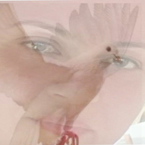 يمامة بيضا ❤️