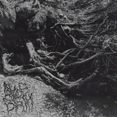 Depressive suicidal black metal - 3