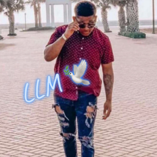 LLM