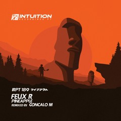 Felix R - Pineapple GONCALO M remix - Intuition Recordings Pt