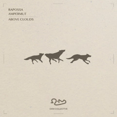 Premiere: Rapossa & Ampermut - Above Clouds [Ohm Collective]