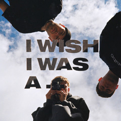 I Wish I Was A...
