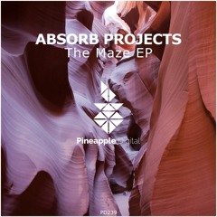 Absorb Projects - Globe