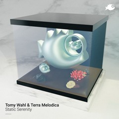 Tomy Wahl & Terra Melodica - "Shadows In The Void" (Original Mix)
