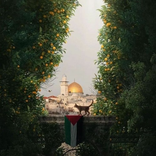 فلسطين روحي وريحانتي - زياد أيمن.