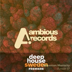 DHS Premiere: Sebastian Moriarty - Burnside (Original Mix)