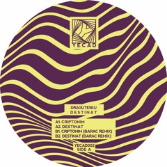Premiere: Dragutesku - Destinat (Barac Remix)