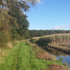 troch de wyn, Melle en Jelle .mp3