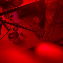 Christian Rich - Faithful