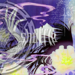 shuffle (feat. starcalibvr)