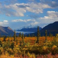 America's National Parks: 10 Moments of Insight