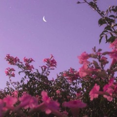 (FREE) Lo-fi Type Beat - "Always"