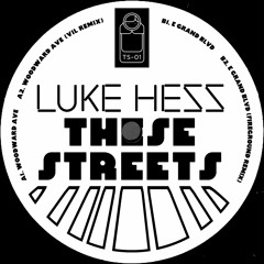 Luke Hess - Woodward Ave. (VIL Remix)