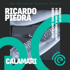 Calamari (Darren Bray Remix)