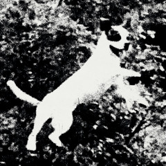 PREMIERE: Edmondson - Ladywell Límon [Noire & Blanche]