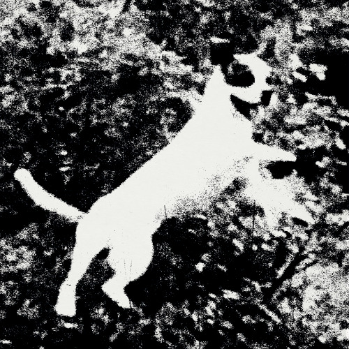 PREMIERE: Edmondson - Ladywell Límon [Noire & Blanche]