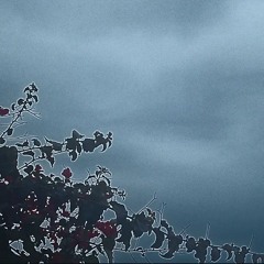 Aria Instrumental 1.mp3