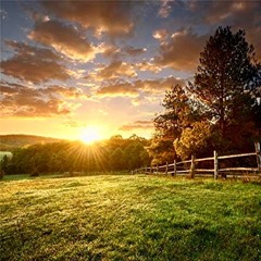 1. "Memories Of The Farm" from "Where the Birds Never Sing"