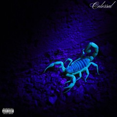 2024 SCORPION (Freestyle)