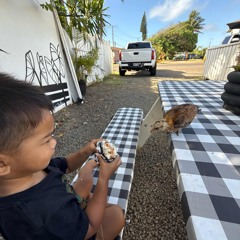 ᵂᴬᴵᵀ ᴾᴼᴺ ᴶᴬᴴ