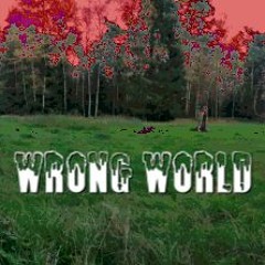 Wrong World