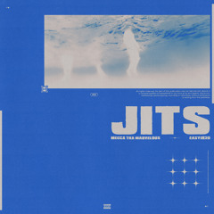 JITS (feat. FredoThaGawd)