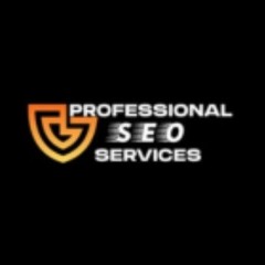 Professional SEO Services in India