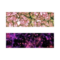 Ancillary Tones & Isaac Tumor - Circular Logic