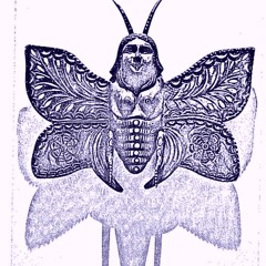 Symbiosedyr /Symbiosis Animals