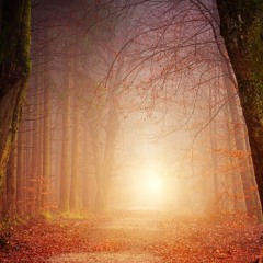 Atmospheric Consequences