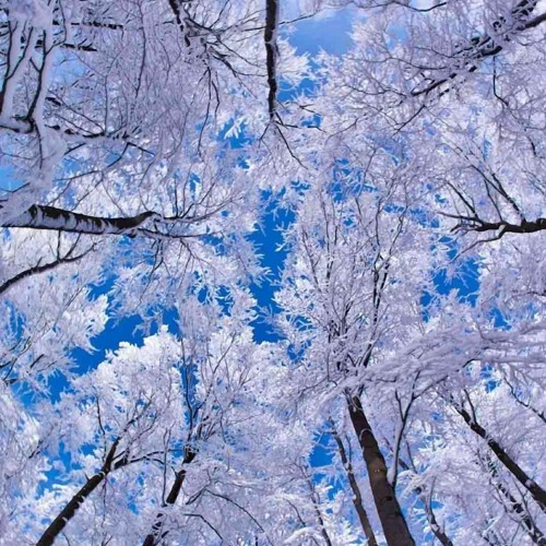 Snow Prelude No.2 - Ludovico Einaudi
