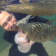 Catch Fish