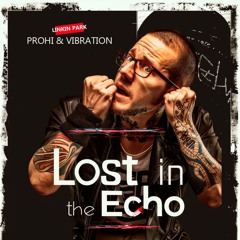 Vibration, Pro Hi - Lost In The Echo Remix