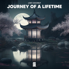 Journey of a Lifetime