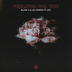 Blaze U & Lee Morris - Feelings For You (ft. Leo)